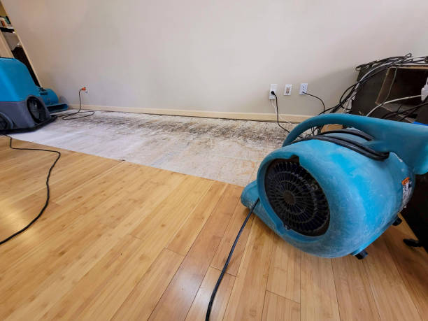 Professional Basement Flood Cleanup technician working in Delton, MI
